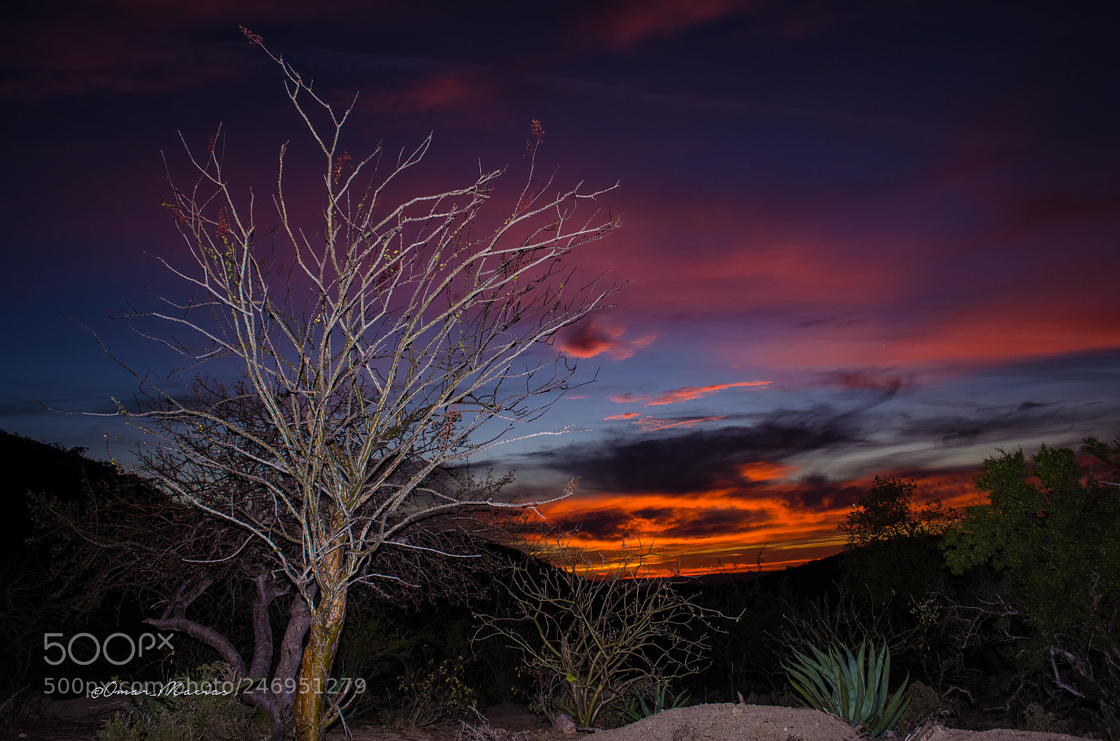 Nikon D5100 sample photo. Winter in baja photography