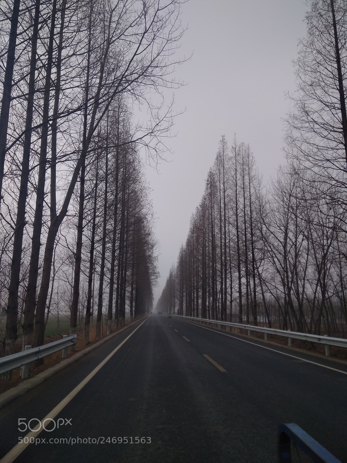 Xiaomi Redmi 4 Pro sample photo. Untitled photography