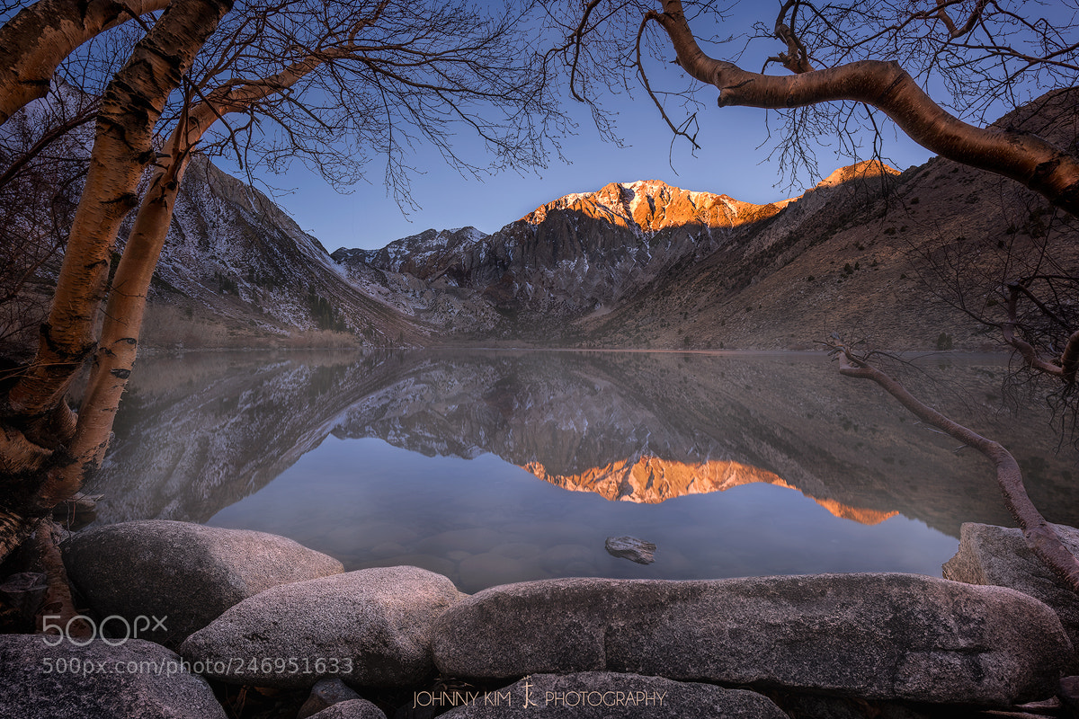 Nikon D810 sample photo. Meet me here  photography