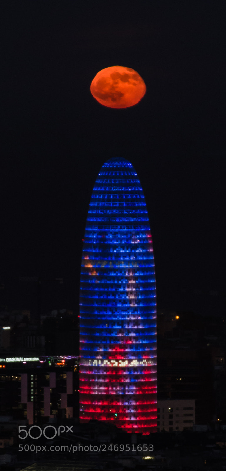 Nikon D5100 sample photo. Untitled photography
