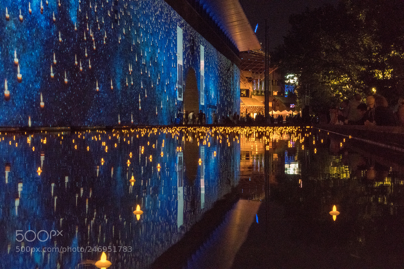 Sony a7R II sample photo. Dsc photography