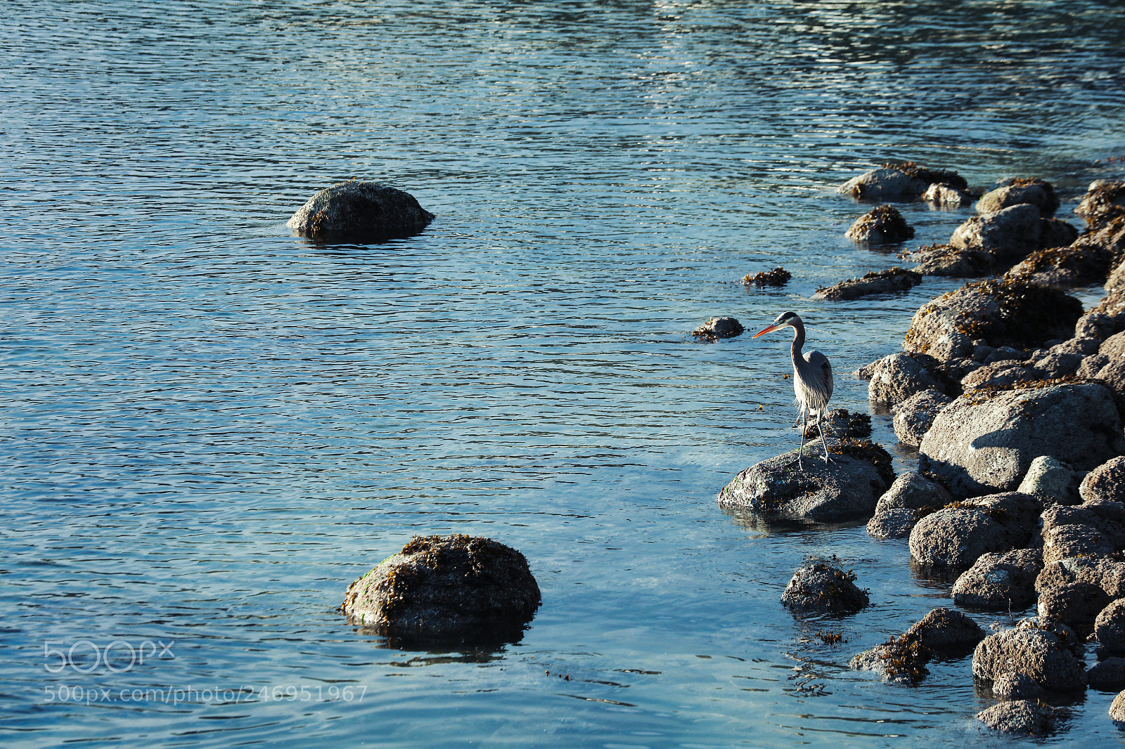Canon EOS 5DS R sample photo. Hope photography