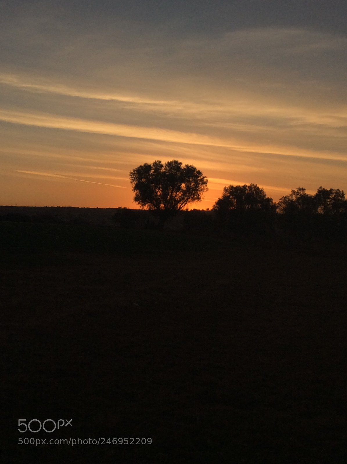 Apple iPad mini 2 sample photo. When the sun goes photography