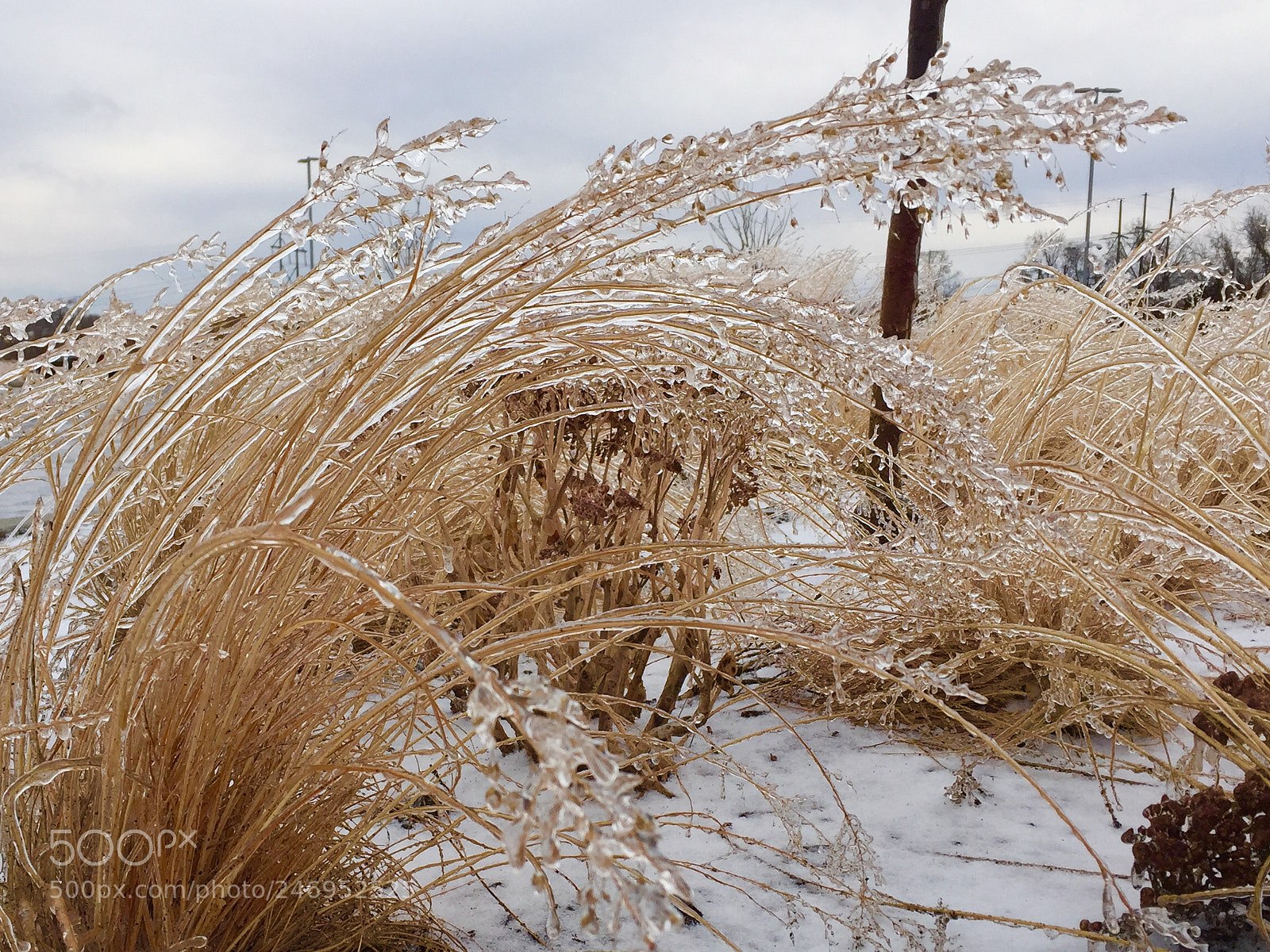 Apple iPhone 6 Plus sample photo. Untitled photography