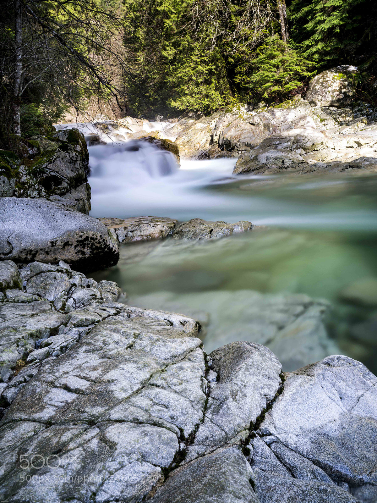 Sony a7R II sample photo. Dsc photography