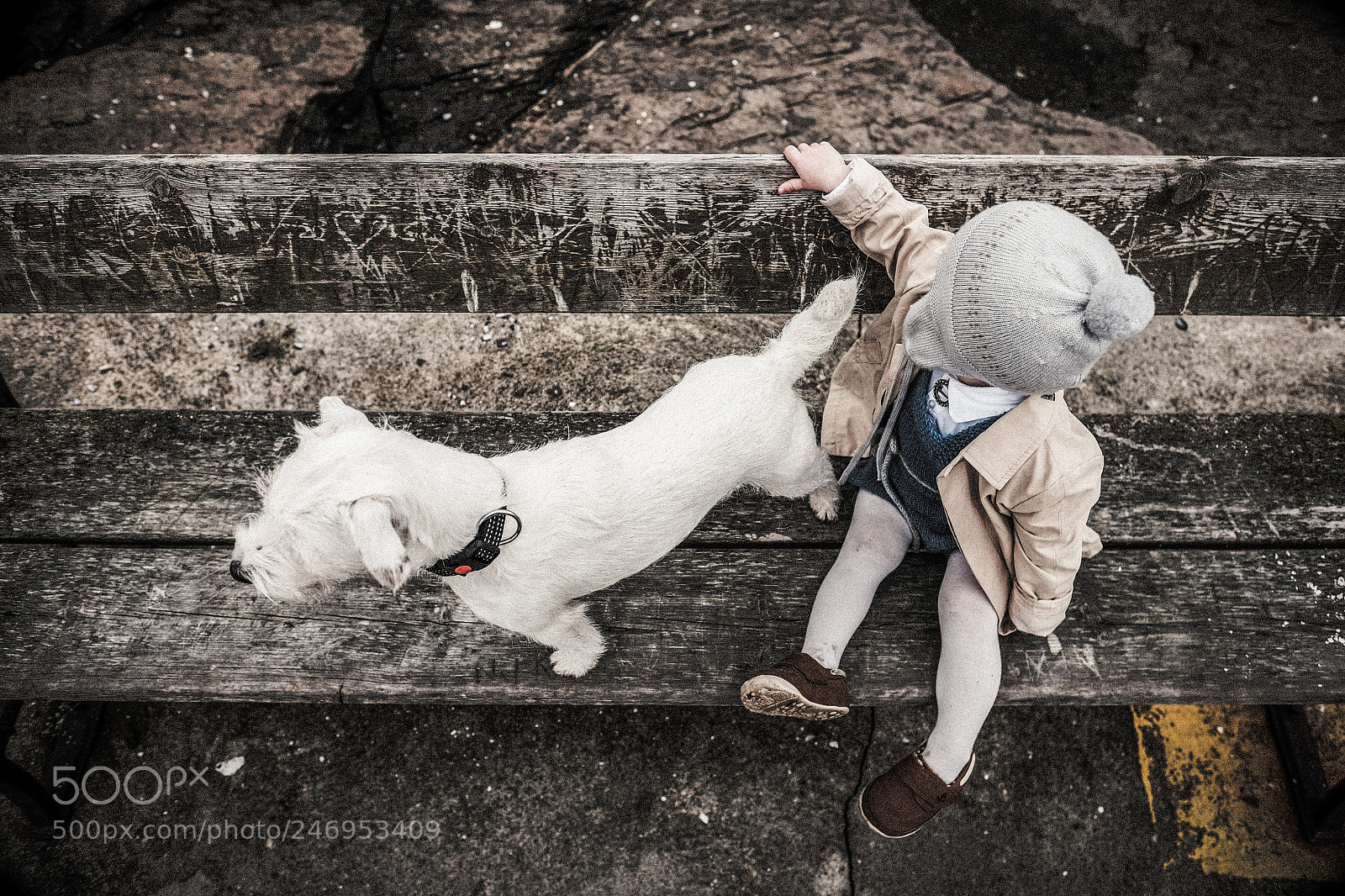 Fujifilm X-T1 sample photo. Two brothers who are photography
