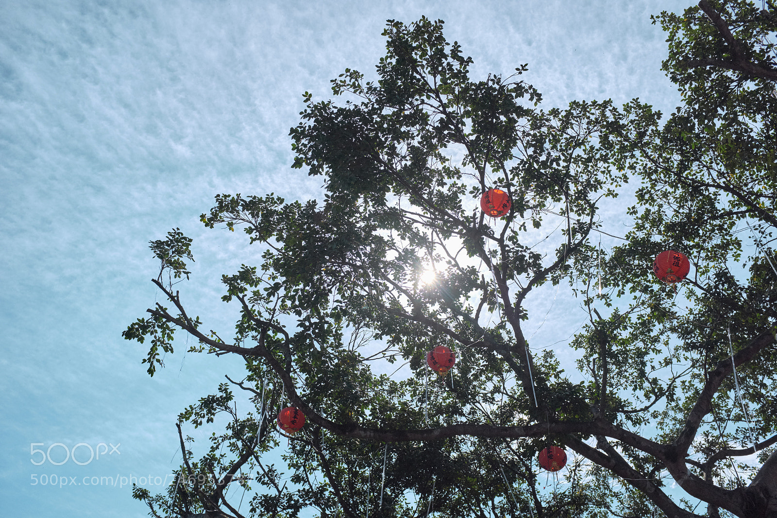 Fujifilm X100F sample photo. The sky of spring photography