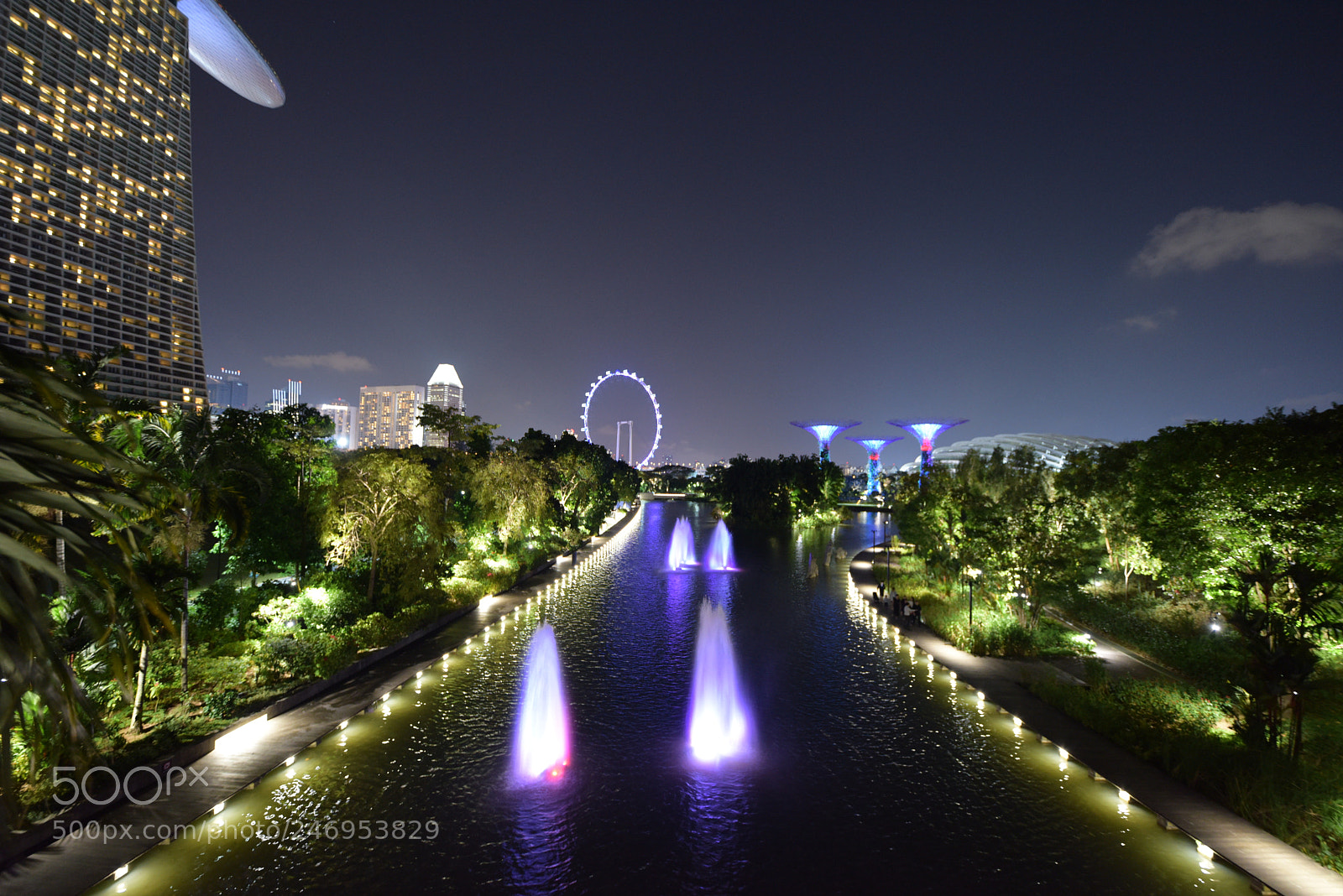 Nikon D810 sample photo. Singapore photography