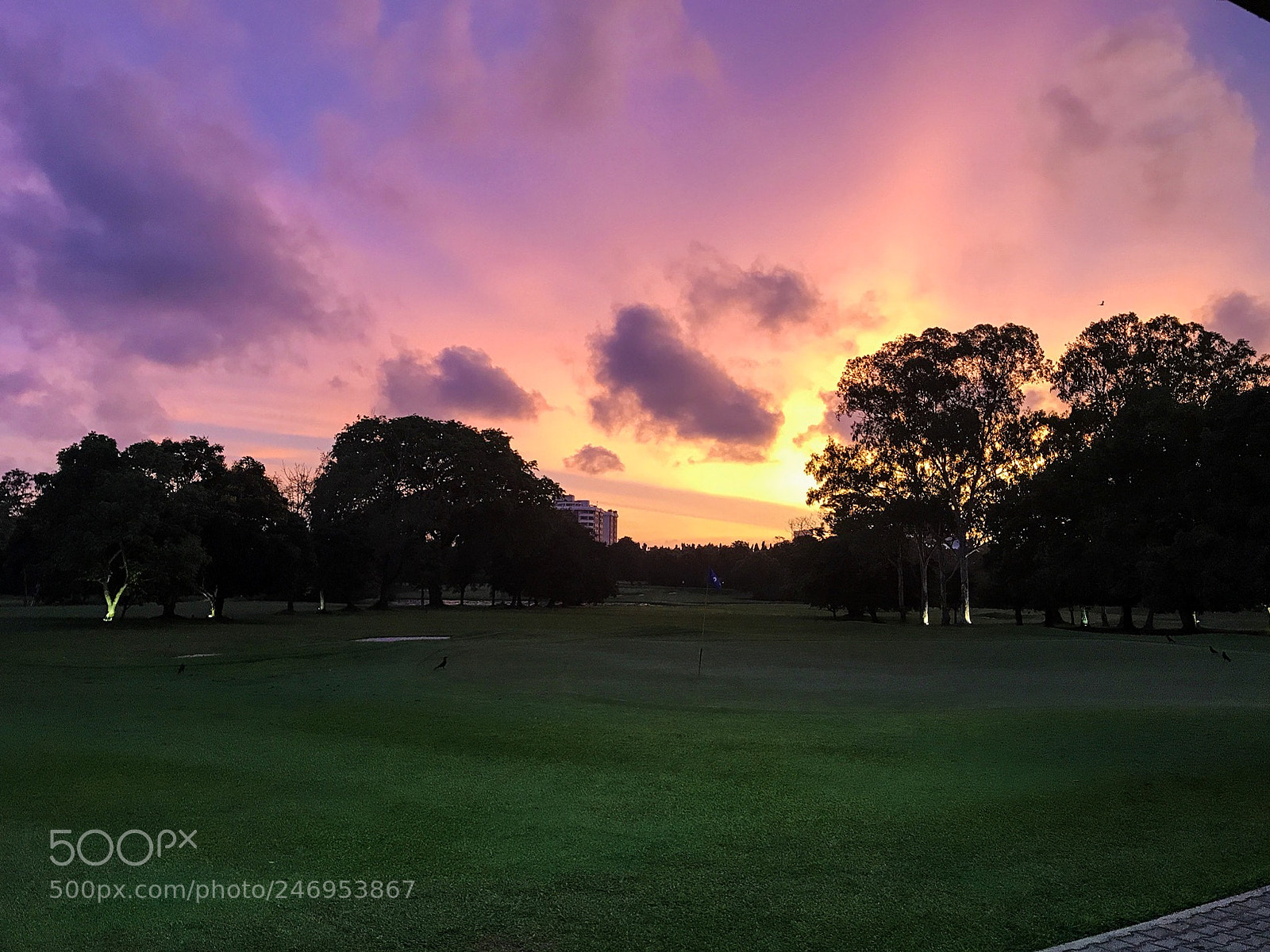 Apple iPhone 7 sample photo. Marsh mellow skies photography