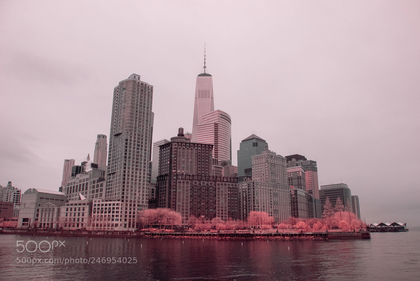 Nikon D40X sample photo. Nyc by the pier photography