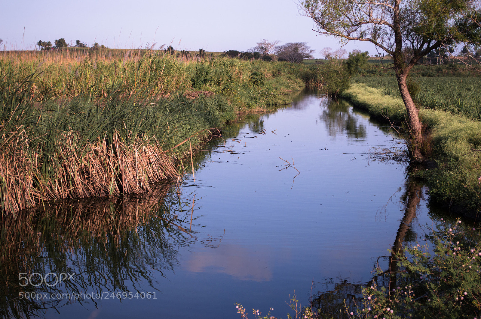 Nikon D3200 sample photo. Cardel photography