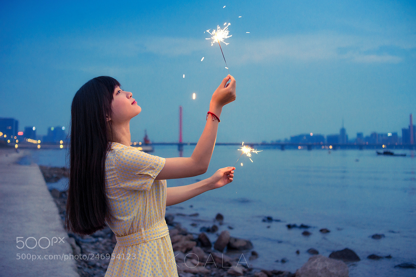 Nikon D4 sample photo. 仙女棒 photography
