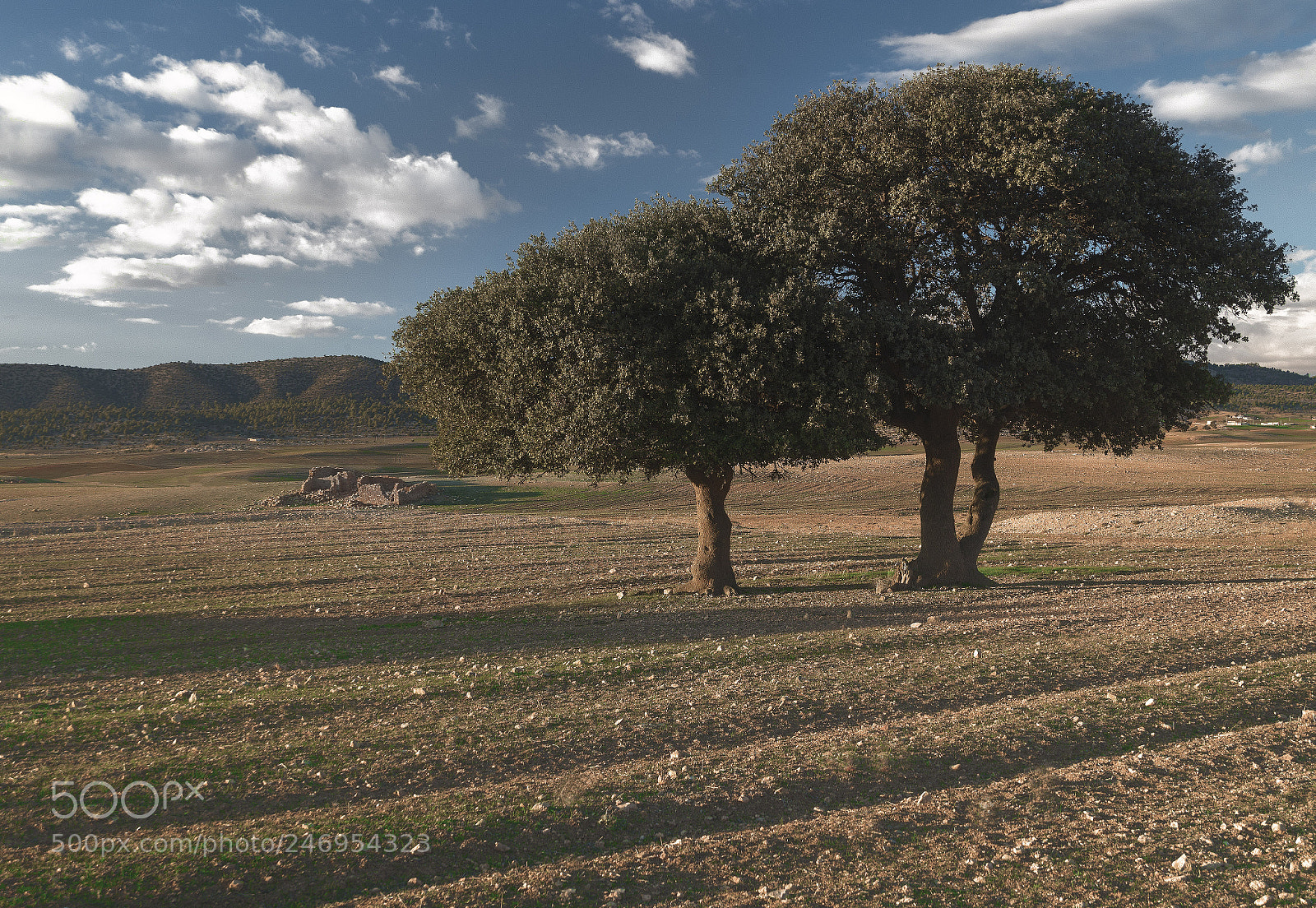 Fujifilm X-A1 sample photo. As smart object photography