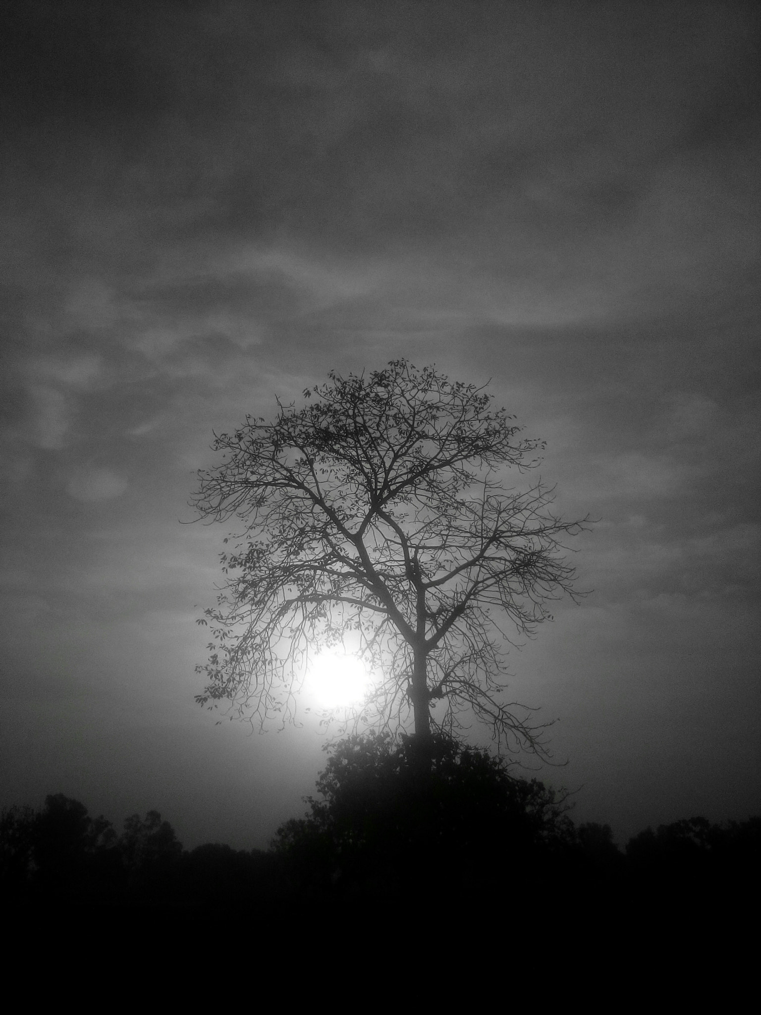 vivo Y31i sample photo. Sunrise black and white shot. photography