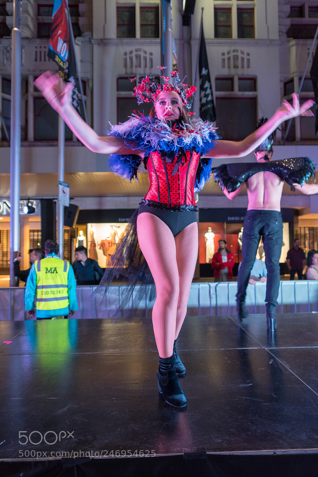 Sony a7R II sample photo. Copy photography