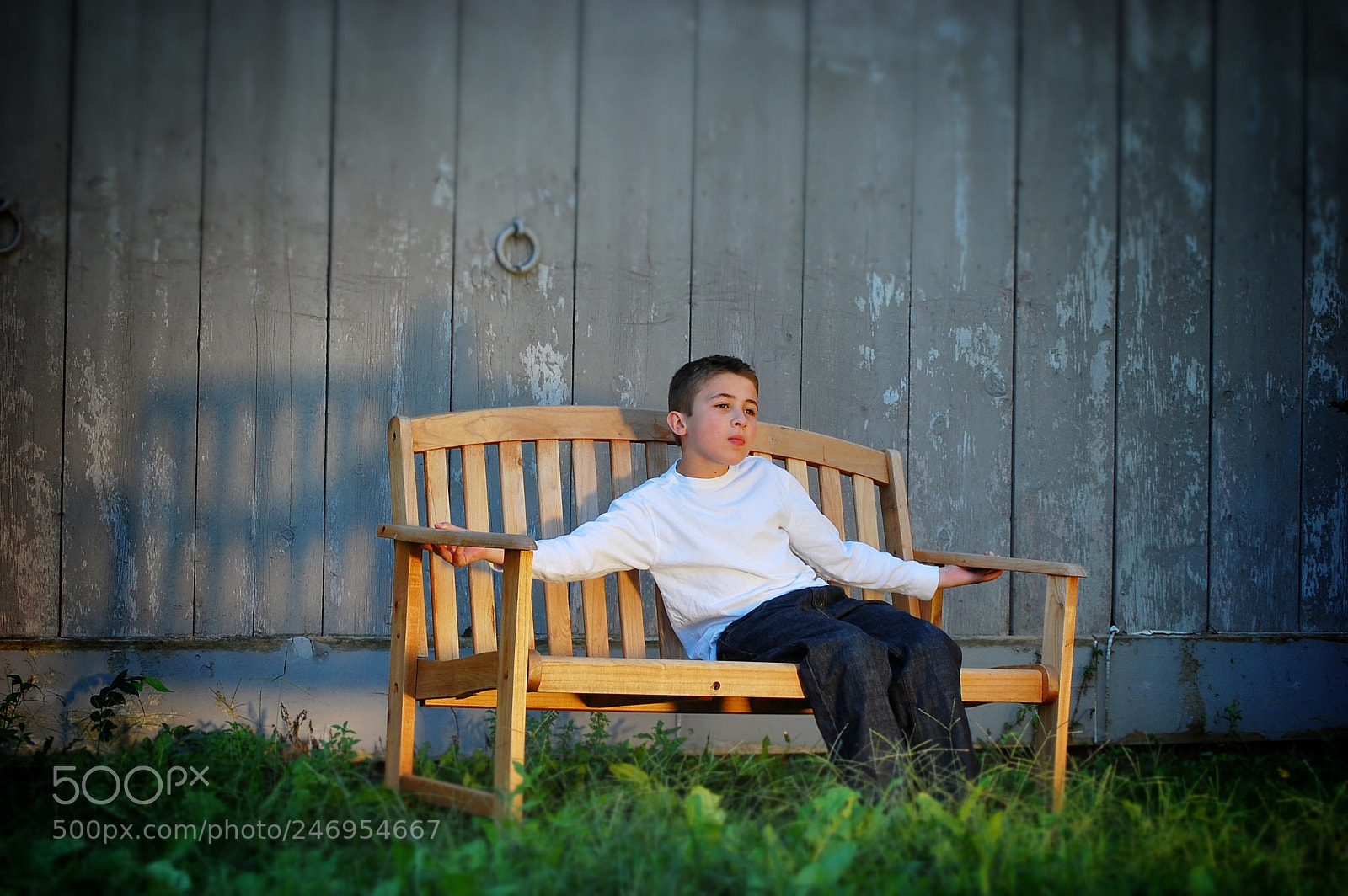 Nikon D40 sample photo. Golden shadow photography