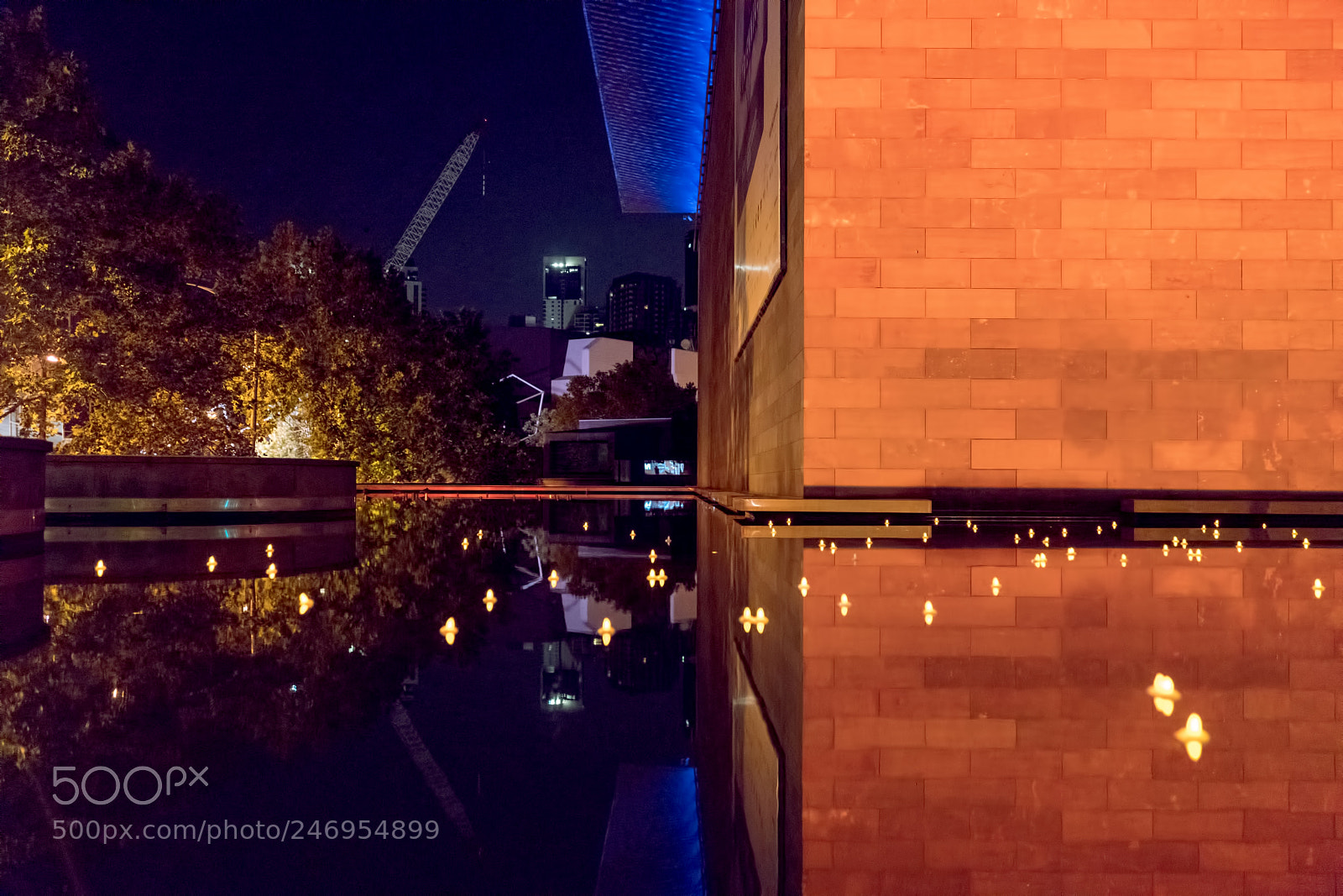 Sony a7R II sample photo. Copy photography