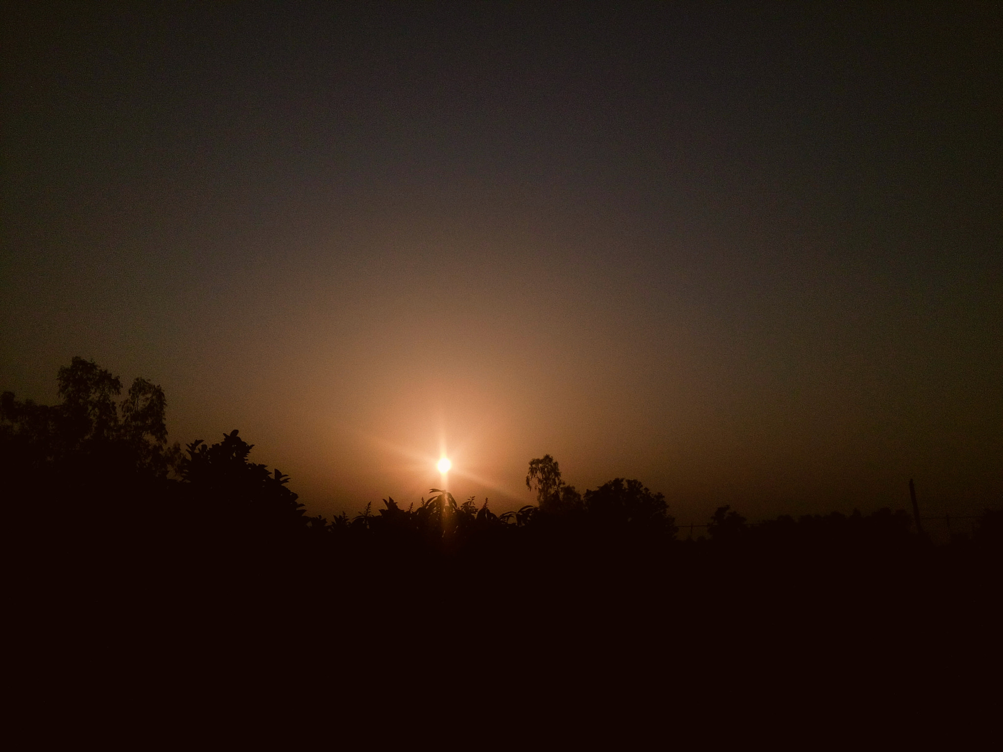 vivo Y31i sample photo. Beautiful sunrise photography