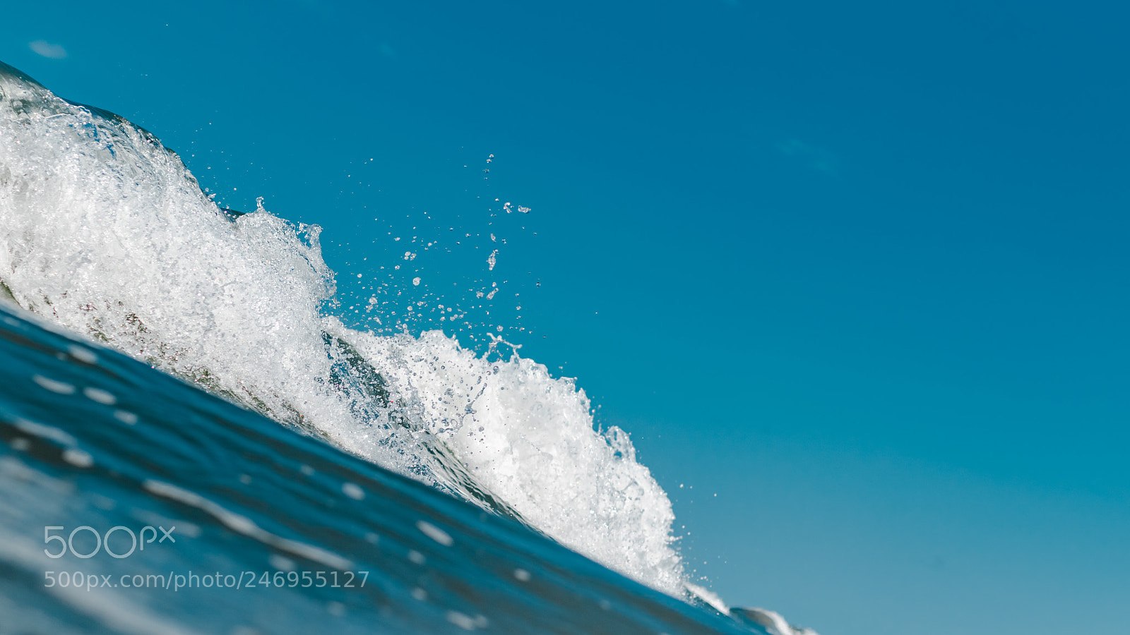 Canon EOS 7D Mark II sample photo. Vis o que transmite photography