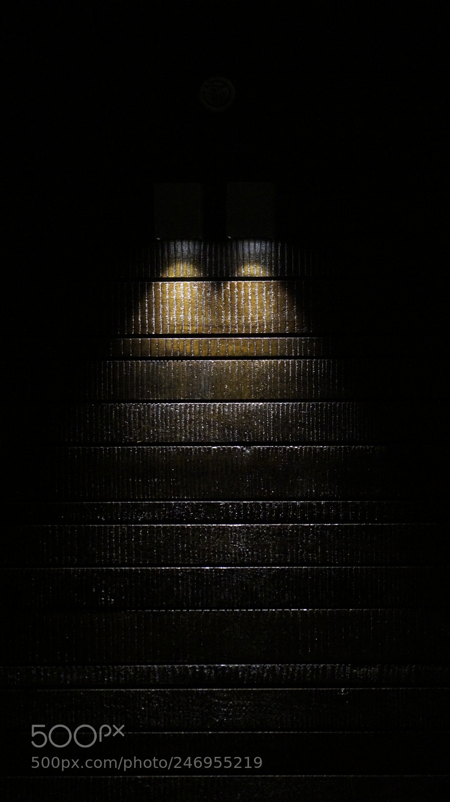 Sony DT 55-200mm F4-5.6 SAM sample photo. Two glow source photography