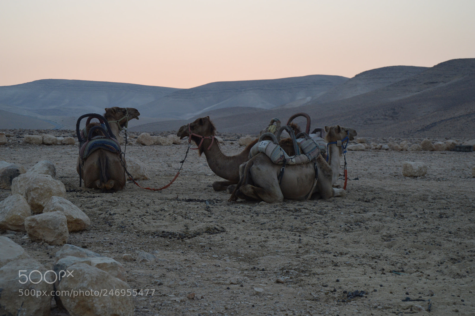 Nikon D3200 sample photo. 190.jpg photography