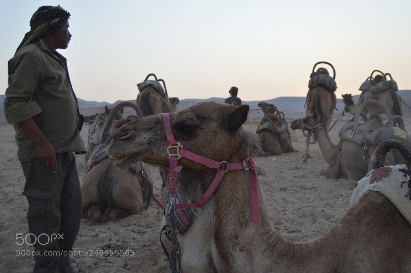 Nikon D3200 sample photo. 193.jpg photography