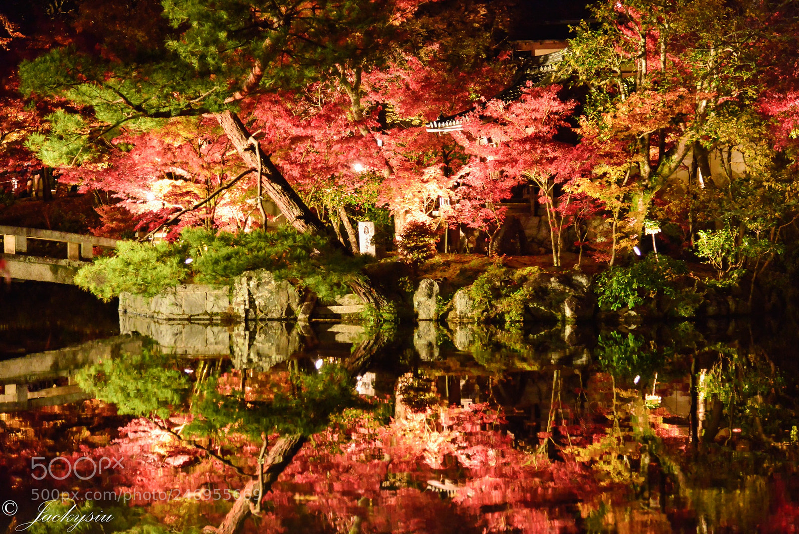 Nikon D800E sample photo. 京都 photography