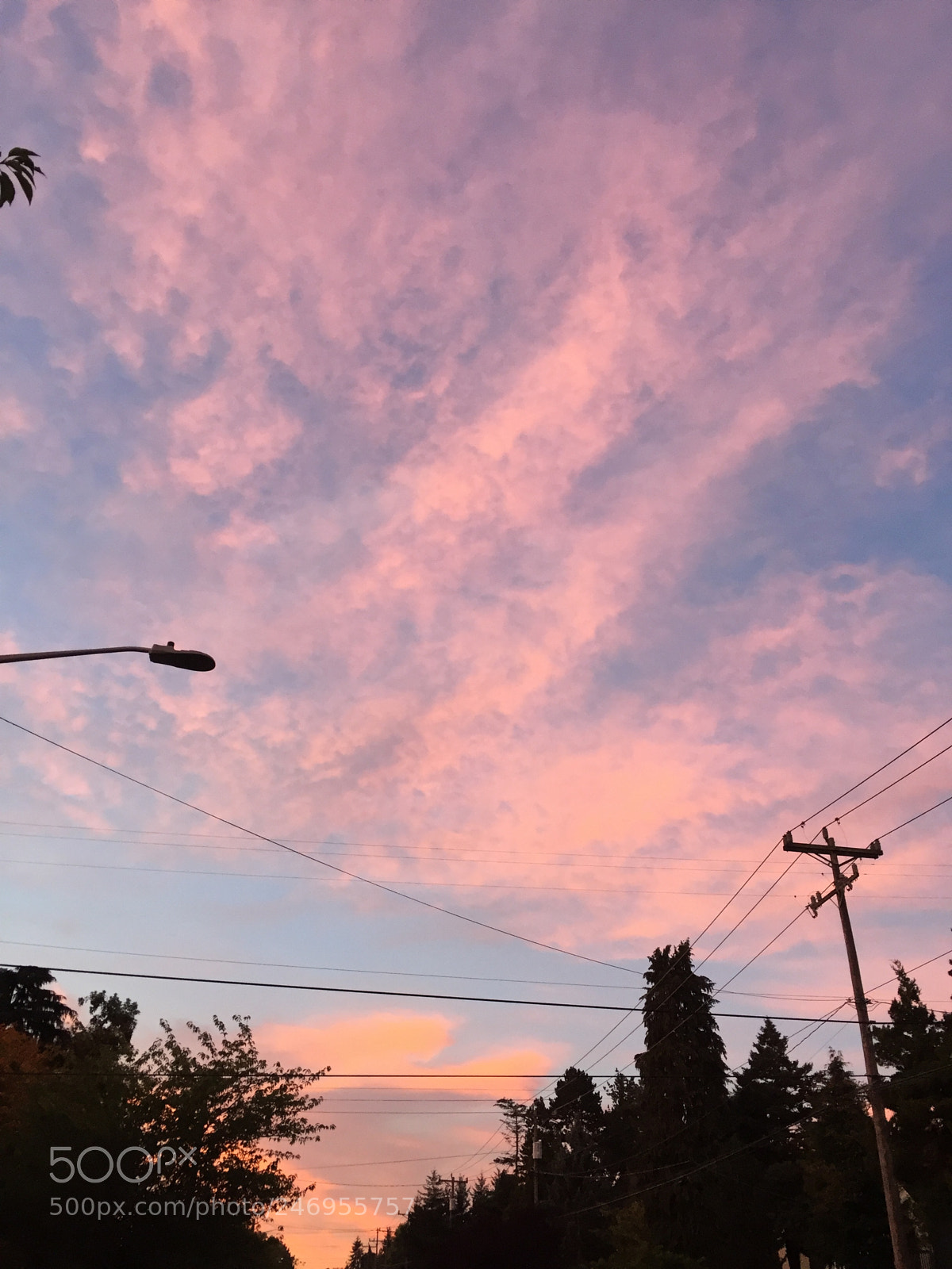 Apple iPhone 6 sample photo. Untitled photography