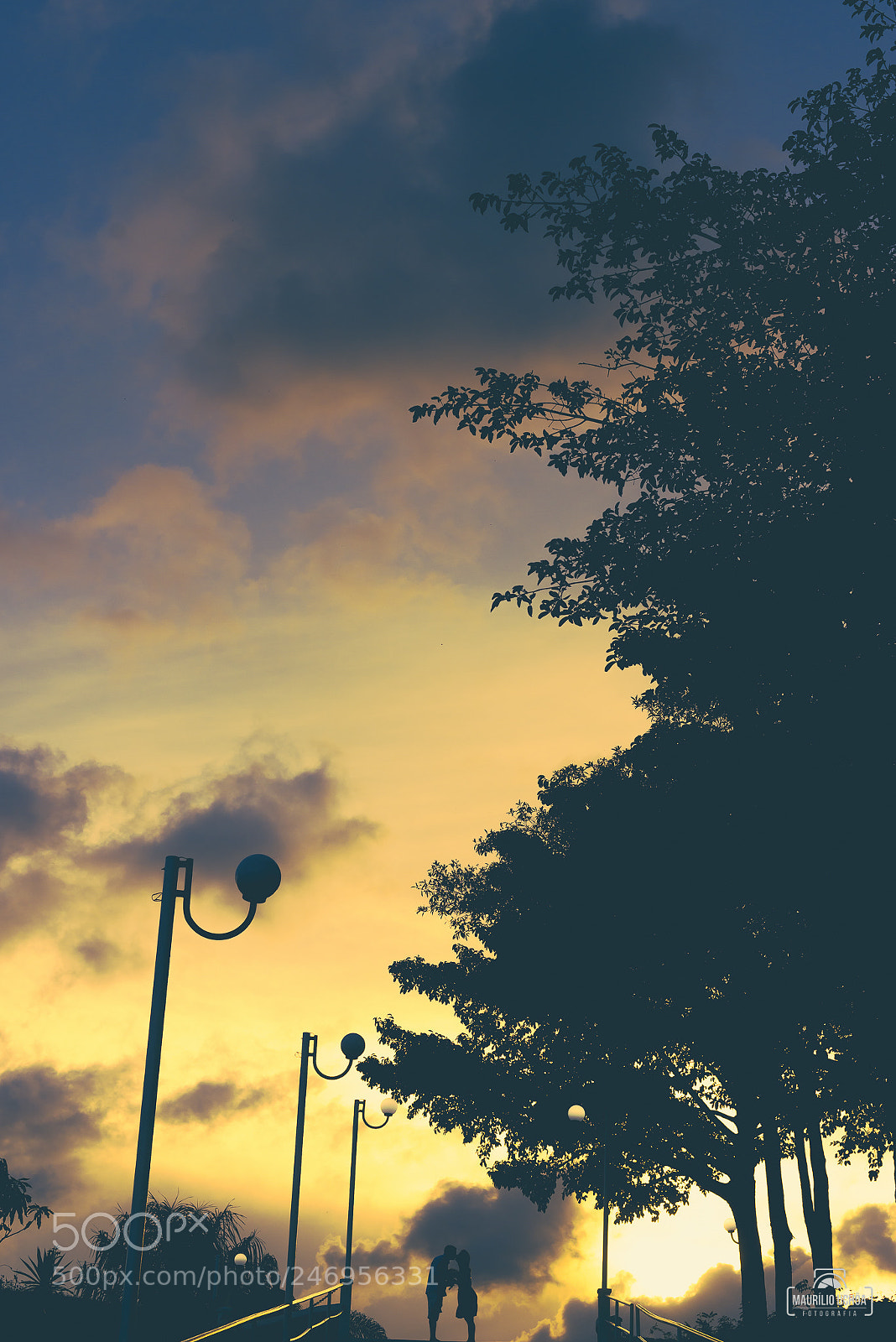 Nikon D610 sample photo. Untitled photography