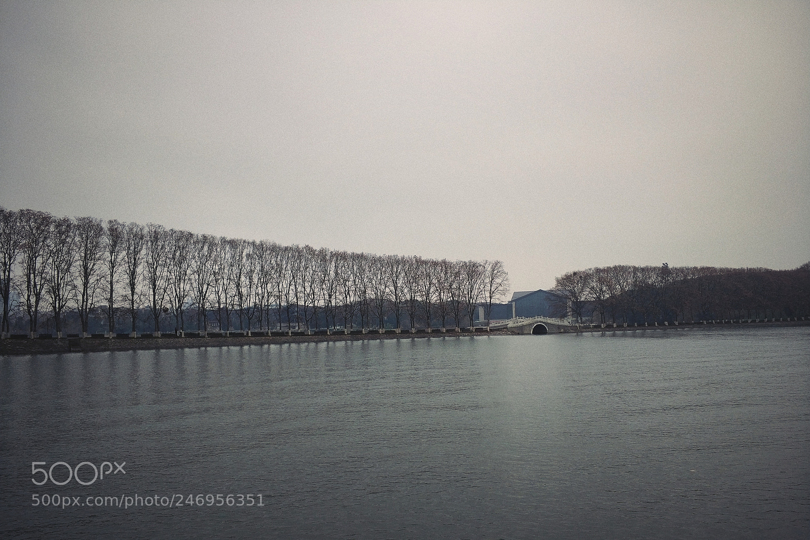 Xiaomi MI6 sample photo. Untitled photography