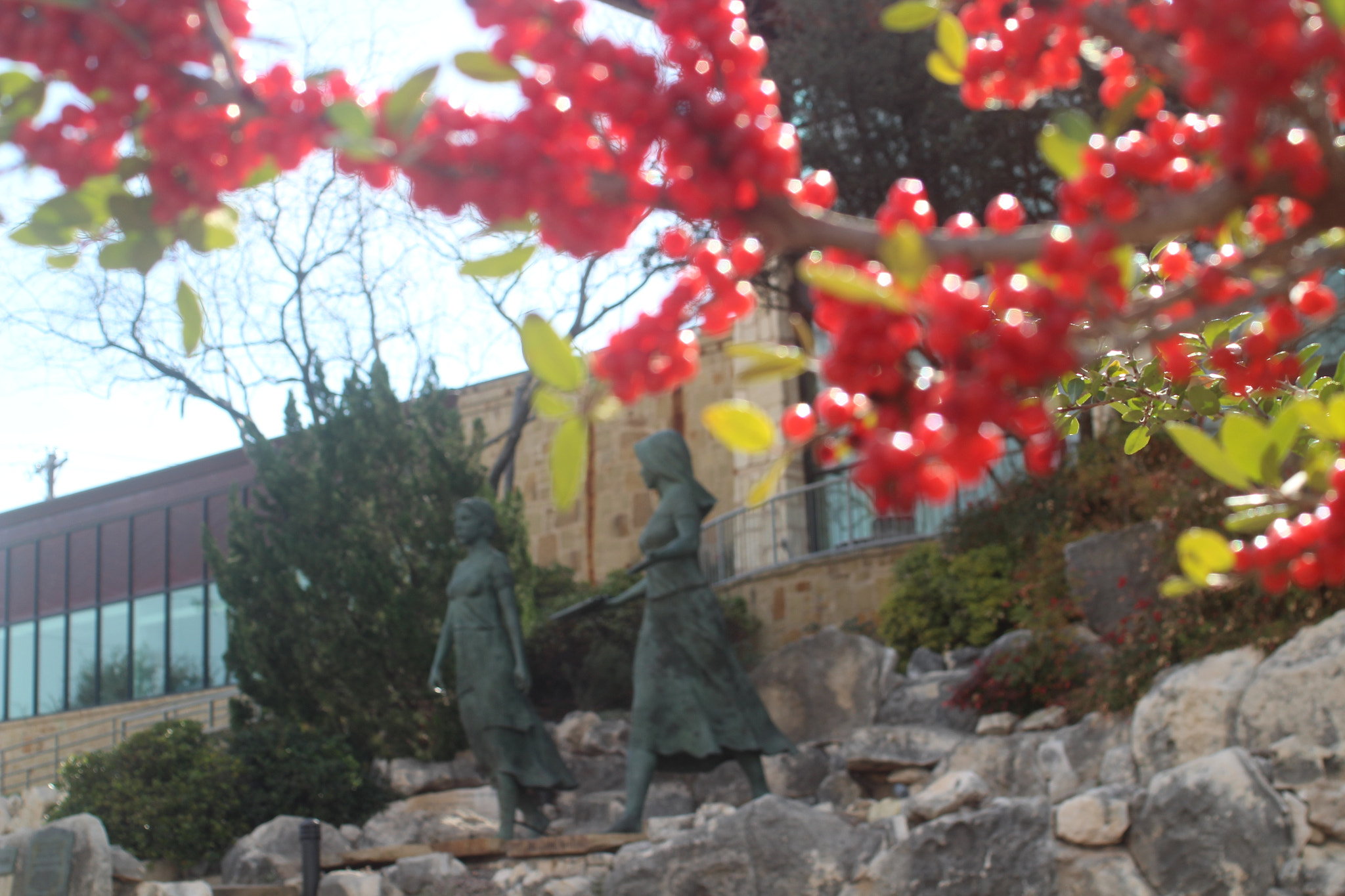 Canon EF 35-80mm f/4-5.6 sample photo. Img photography
