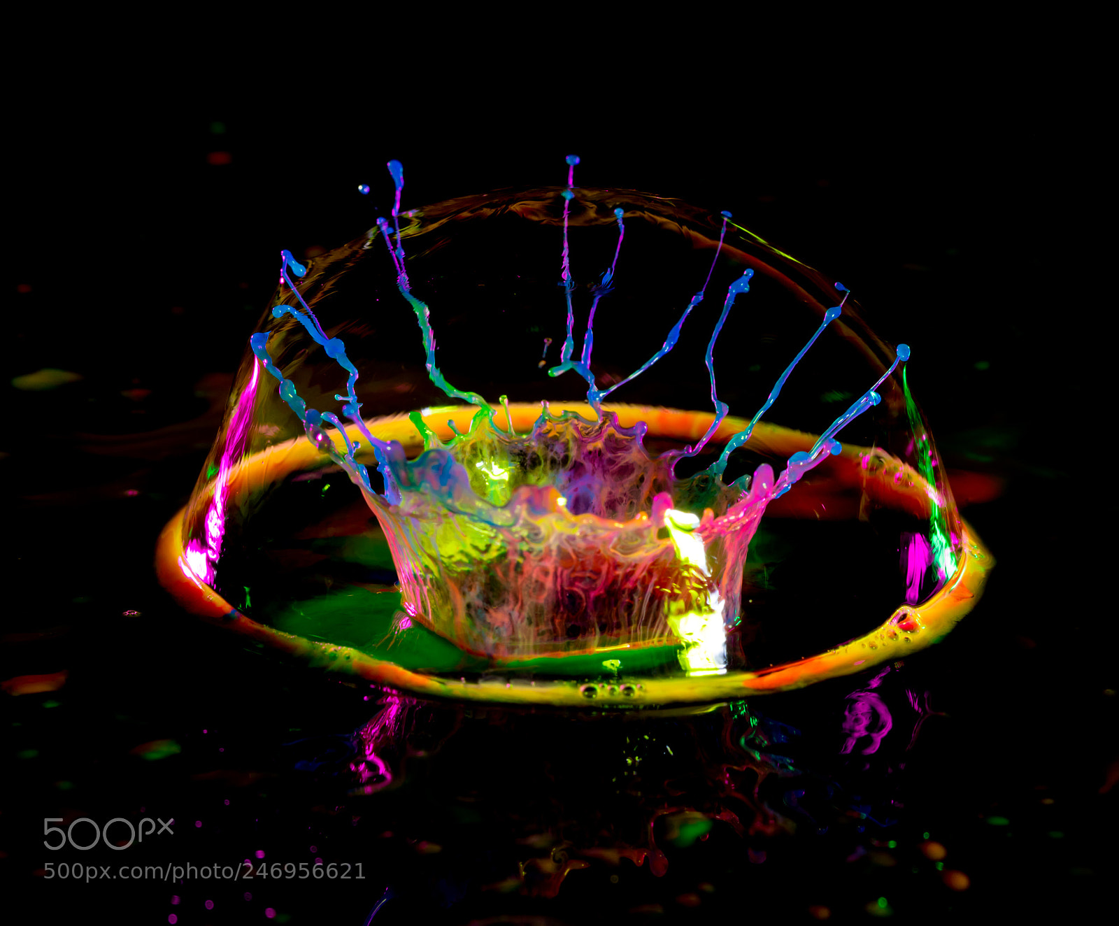Canon EOS 5DS R sample photo. Untitled photography