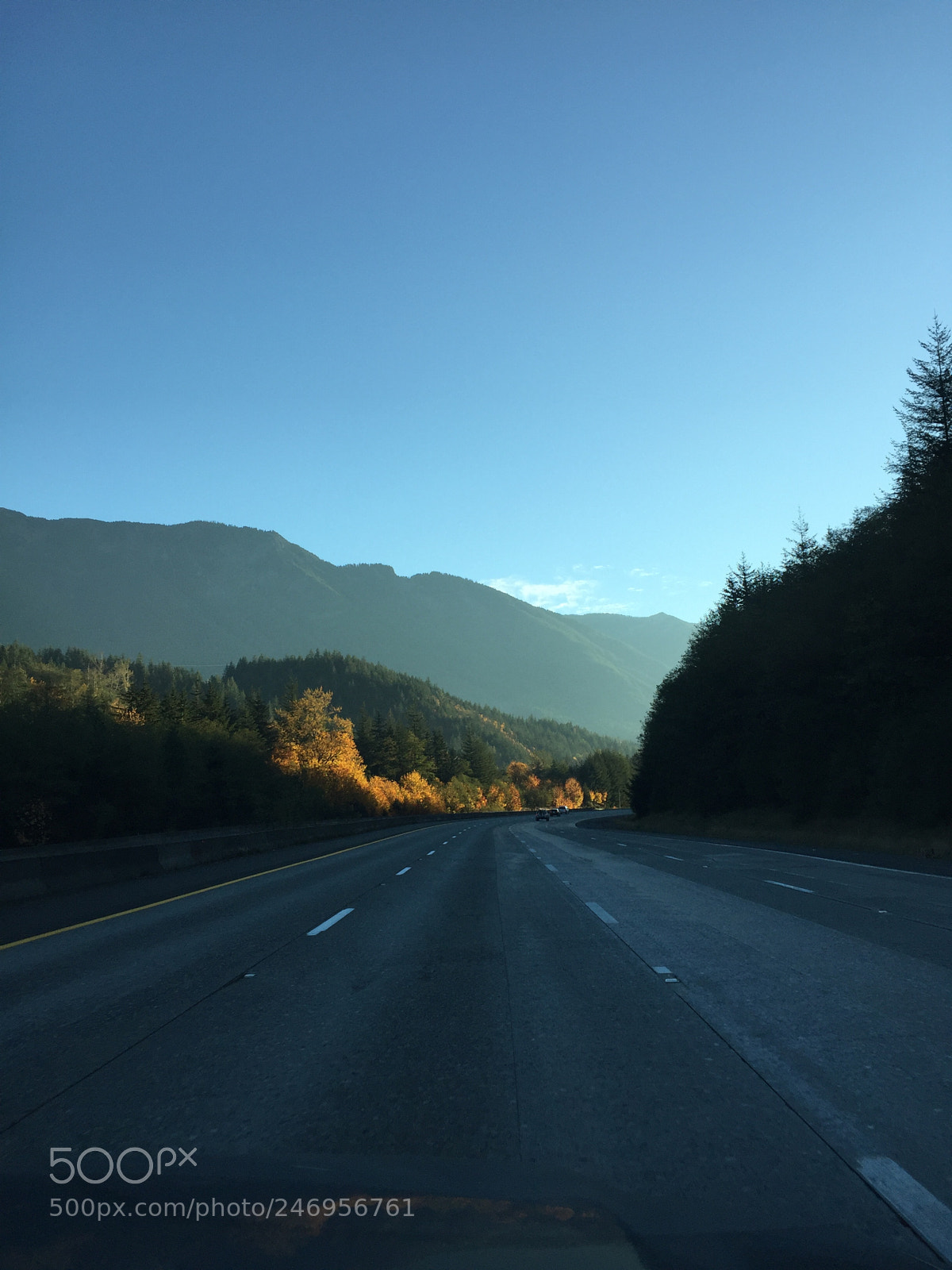Apple iPhone 6 sample photo. Untitled photography