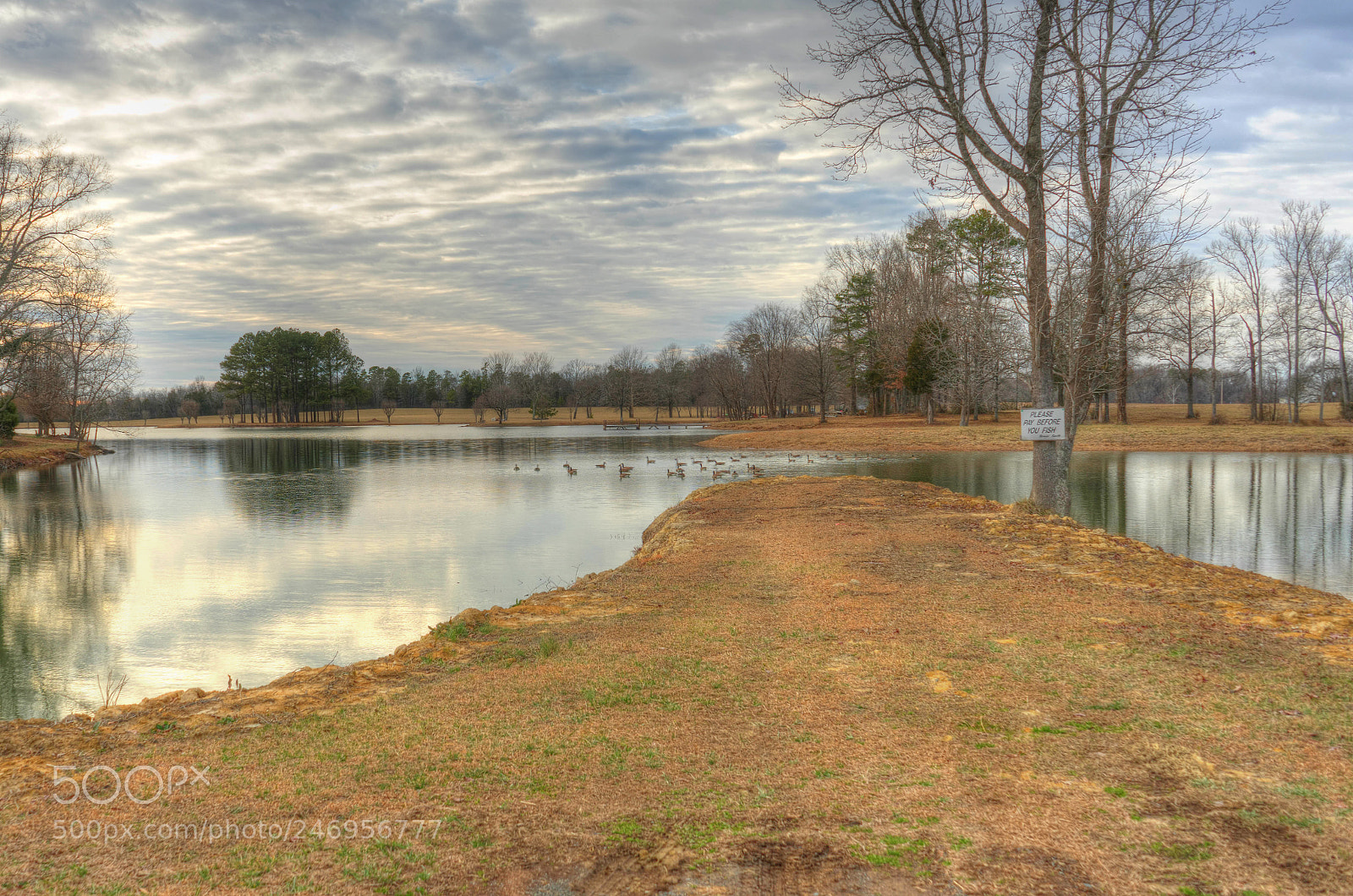 Sony a7 II sample photo. Out the car window photography