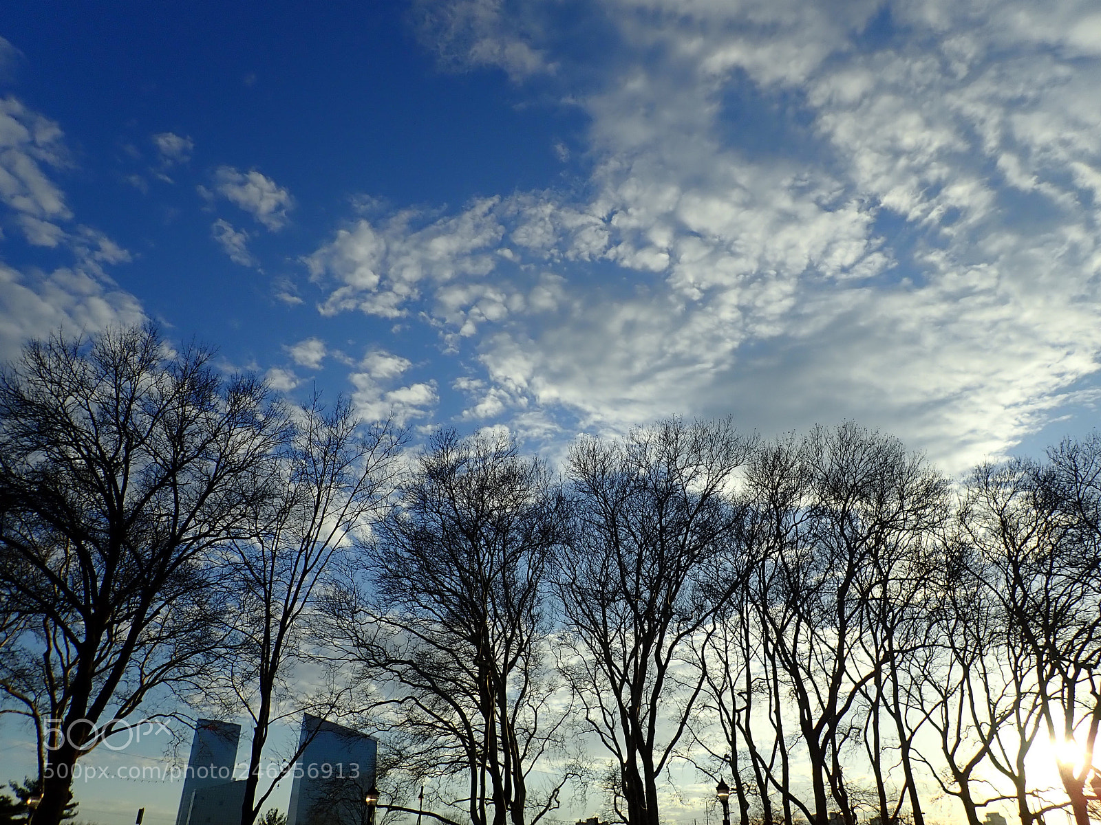 Olympus TG-5 sample photo. Clouds and trees photography