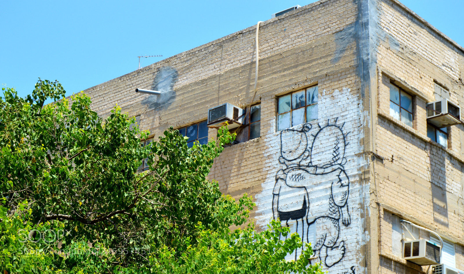 Nikon D3200 sample photo. 150.jpg photography