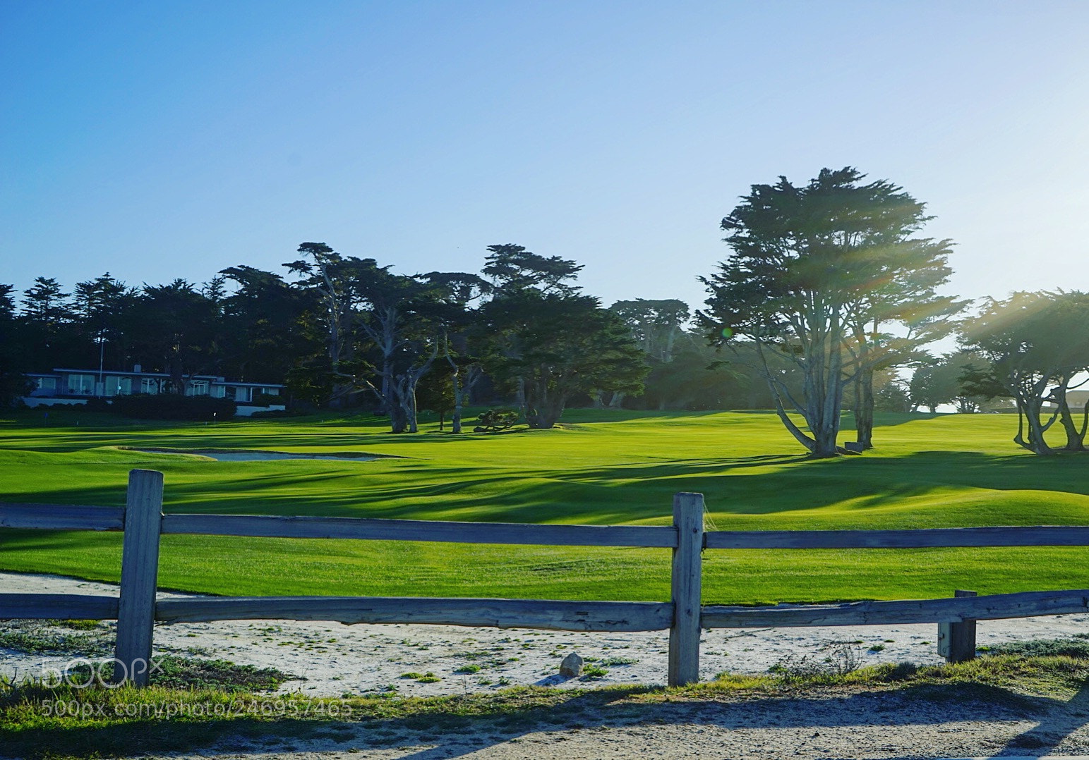Sony a7R sample photo. Golf course photography