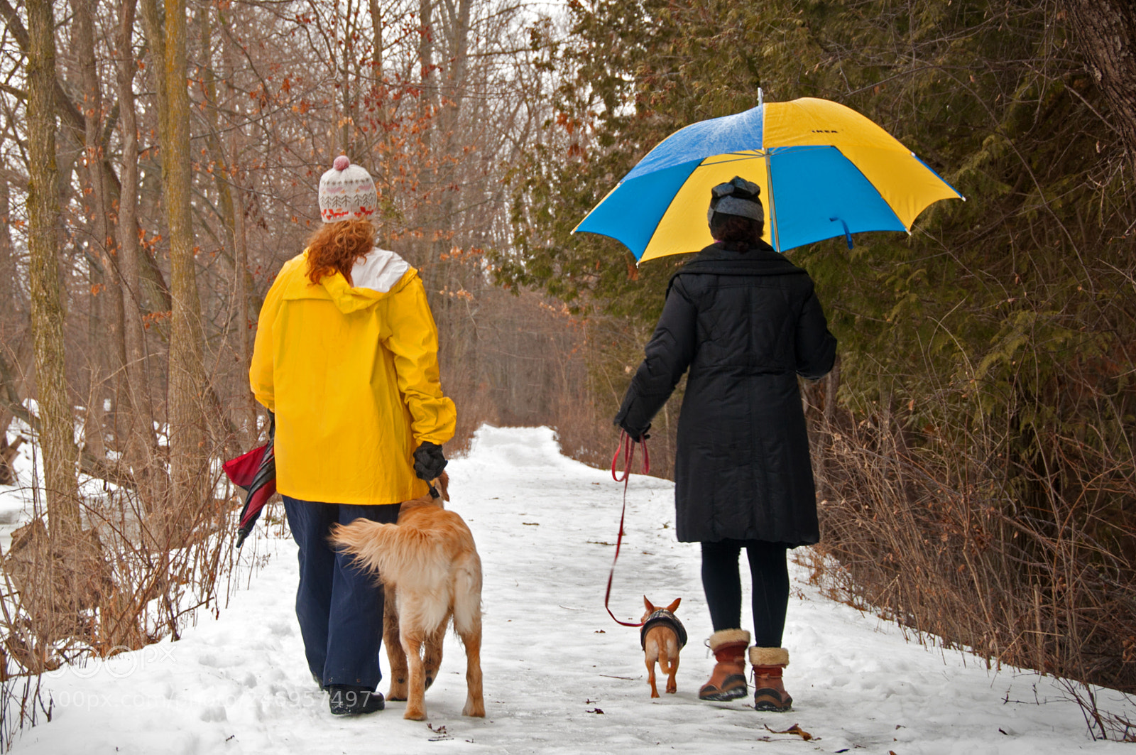 Nikon D90 sample photo. Couple at st jacobs photography