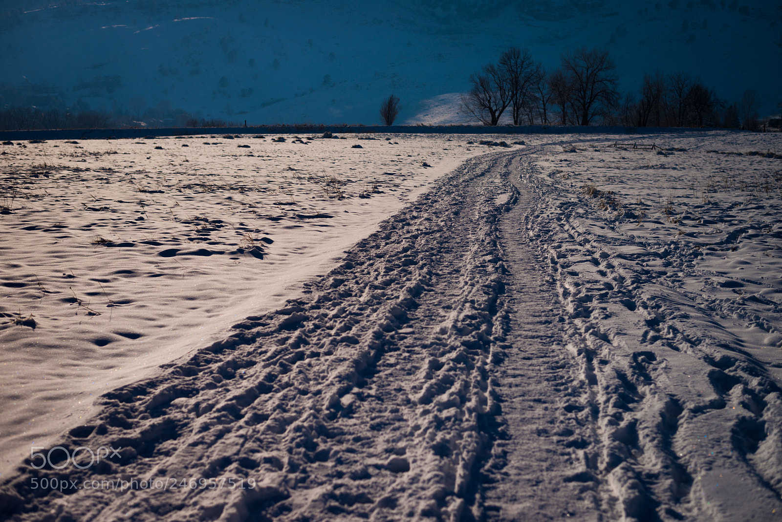 Nikon D800E sample photo. Wonderflake photography