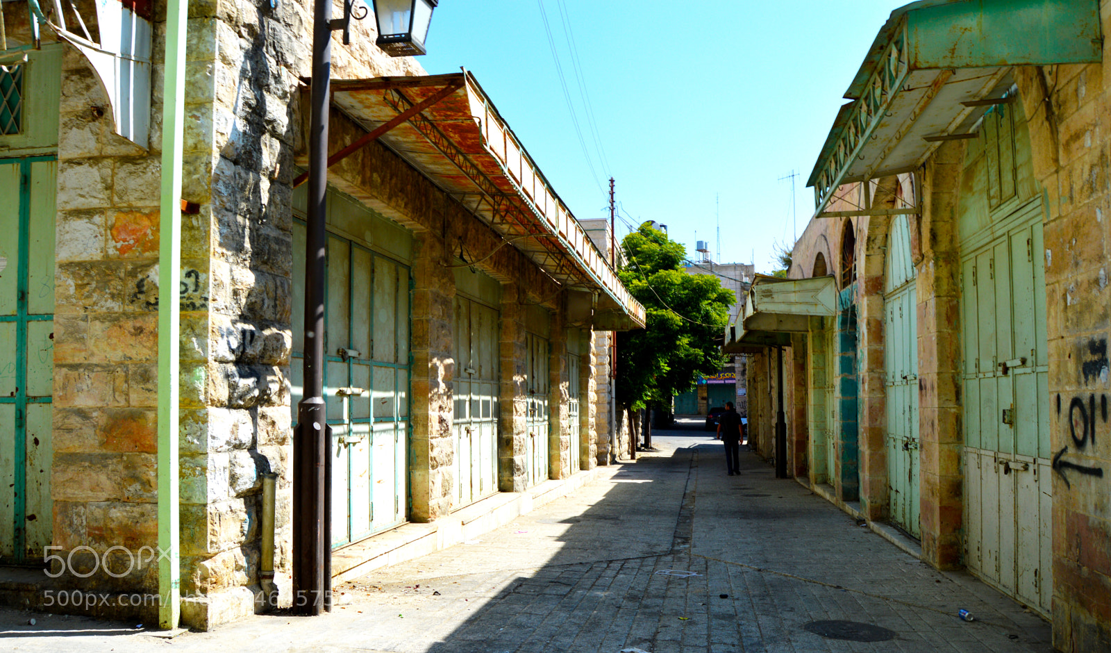 Nikon D3200 sample photo. 299.jpg photography