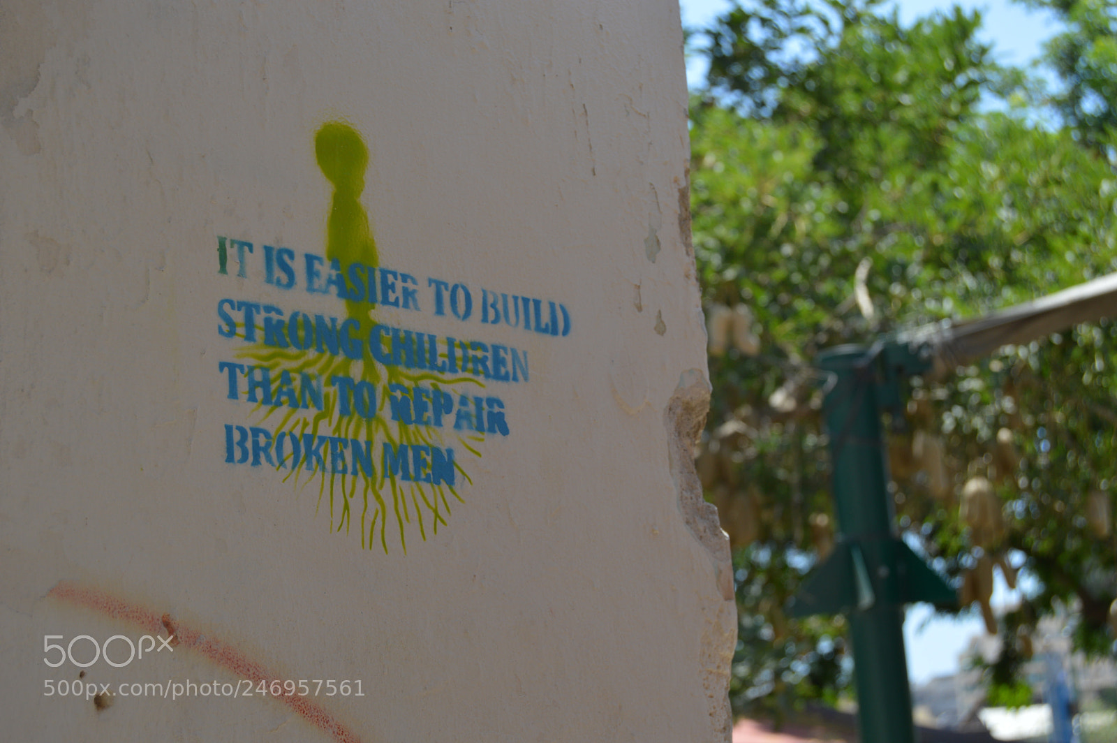 Nikon D3200 sample photo. 163.jpg photography