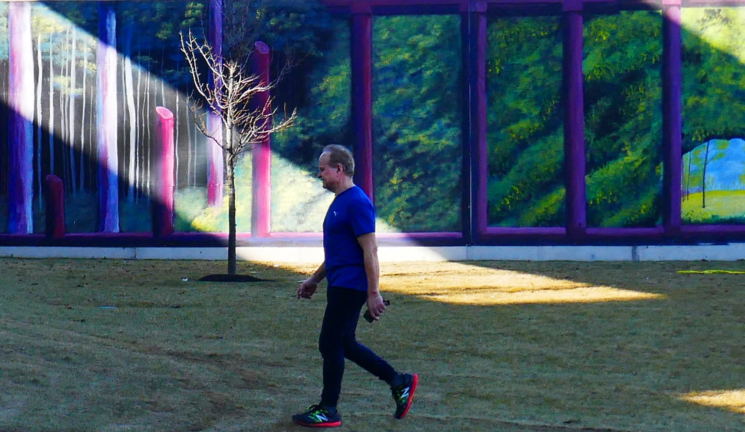 Panasonic Lumix DMC-ZS100 (Lumix DMC-TZ100) sample photo. Walking by a painted forrest photography