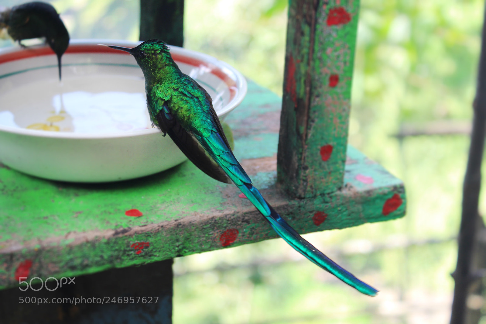 Canon EOS 700D (EOS Rebel T5i / EOS Kiss X7i) sample photo. Natural beauty photography
