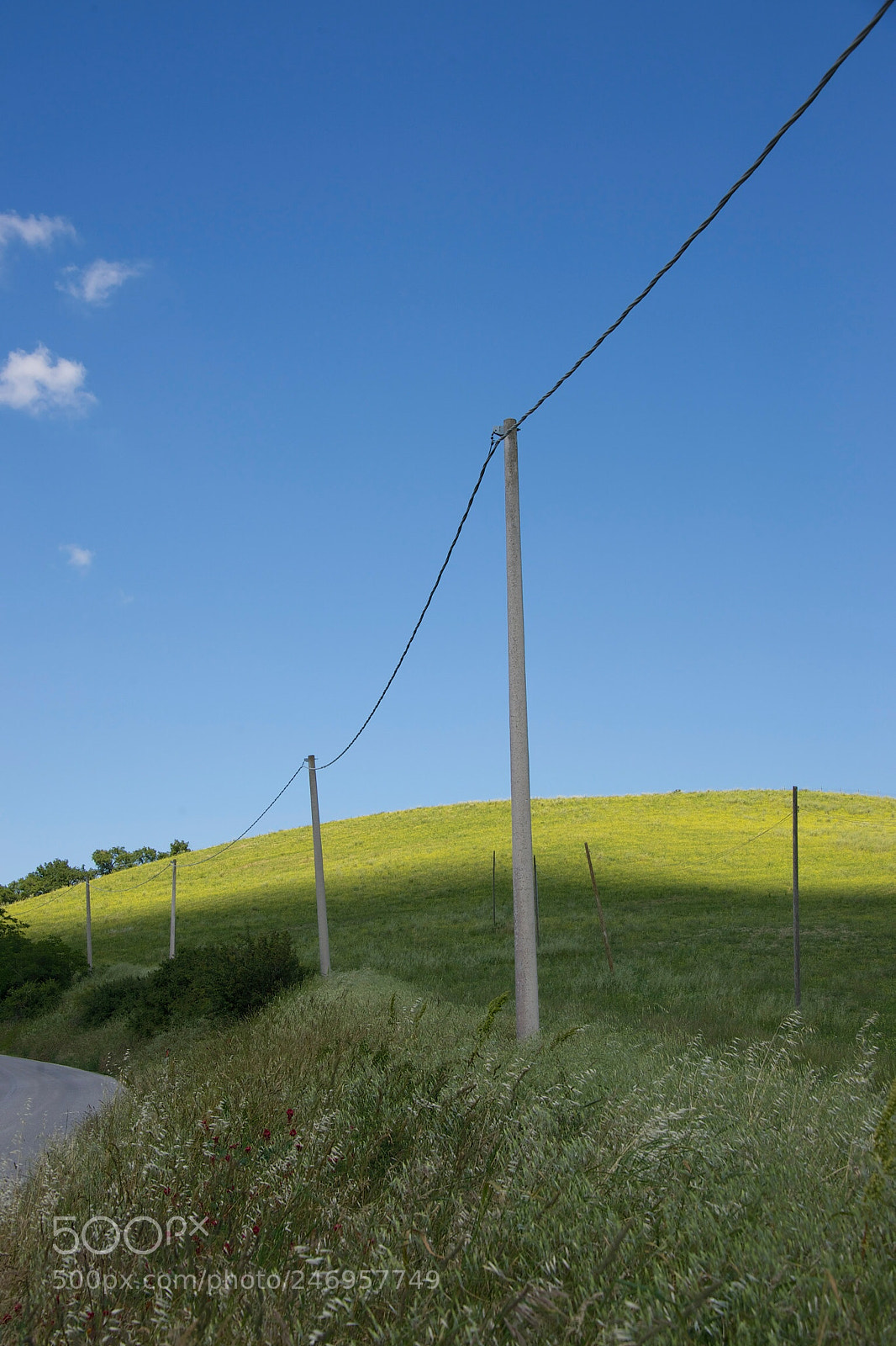 Nikon Df sample photo. Sending messages down the photography