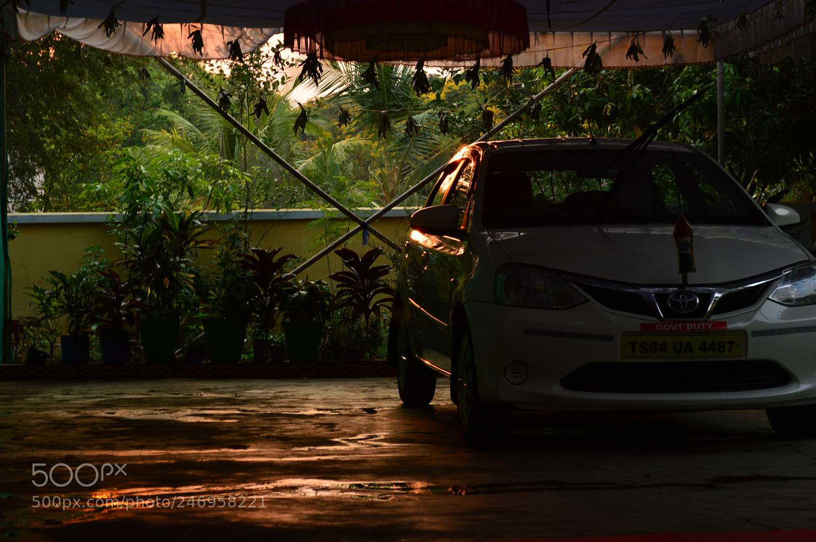 Nikon D3200 sample photo. Golden hour photography