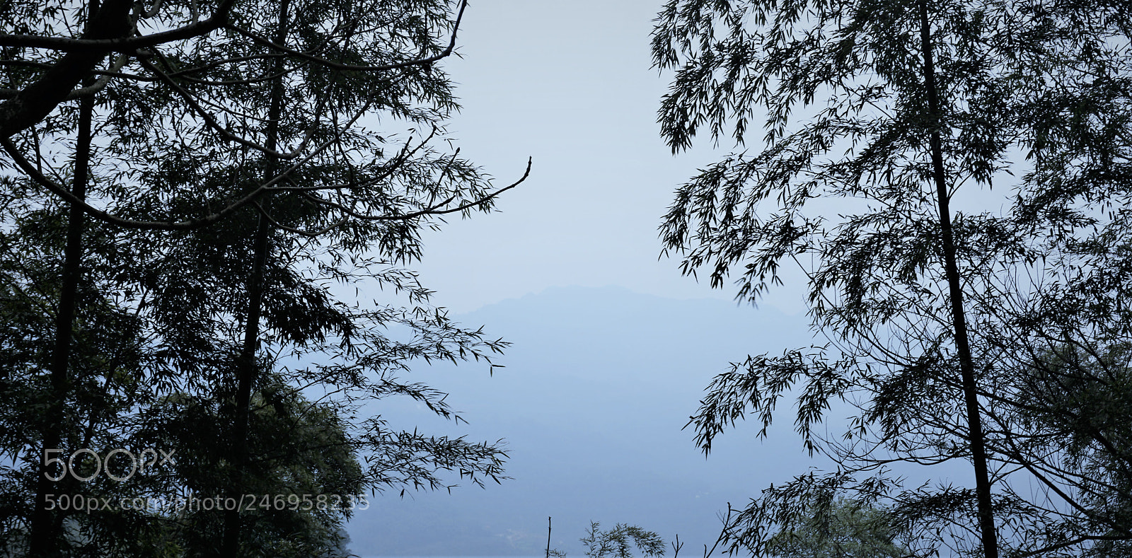 Sony a6000 + Sony E 18-50mm F4-5.6 sample photo. 大山里。 photography