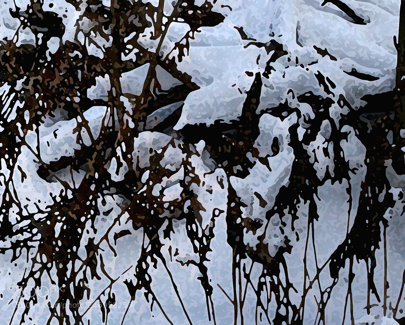 Sony Alpha NEX-6 sample photo. Beauty in winter 1 photography