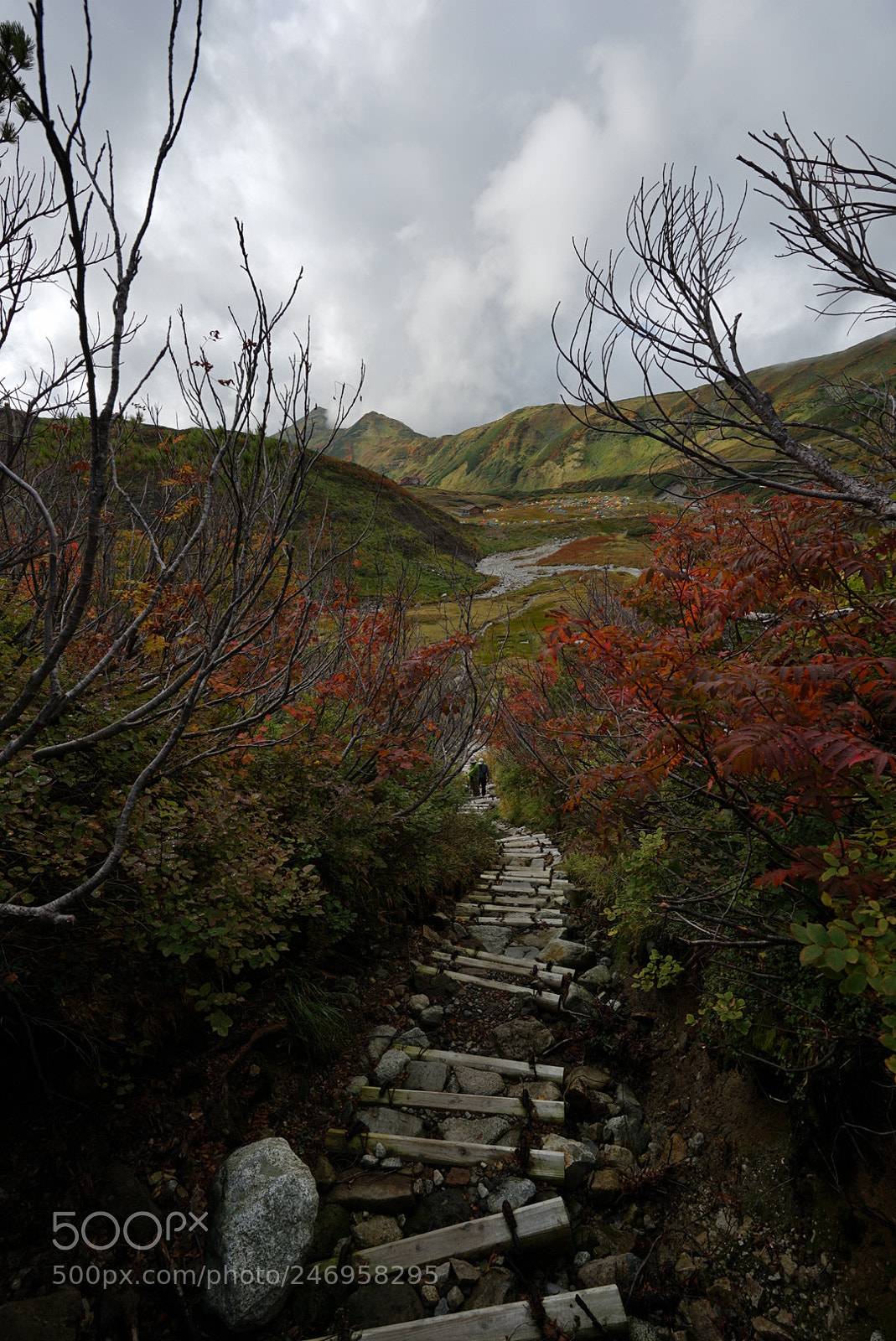 Sony a7 II sample photo. 雷鳥沢に向けて photography