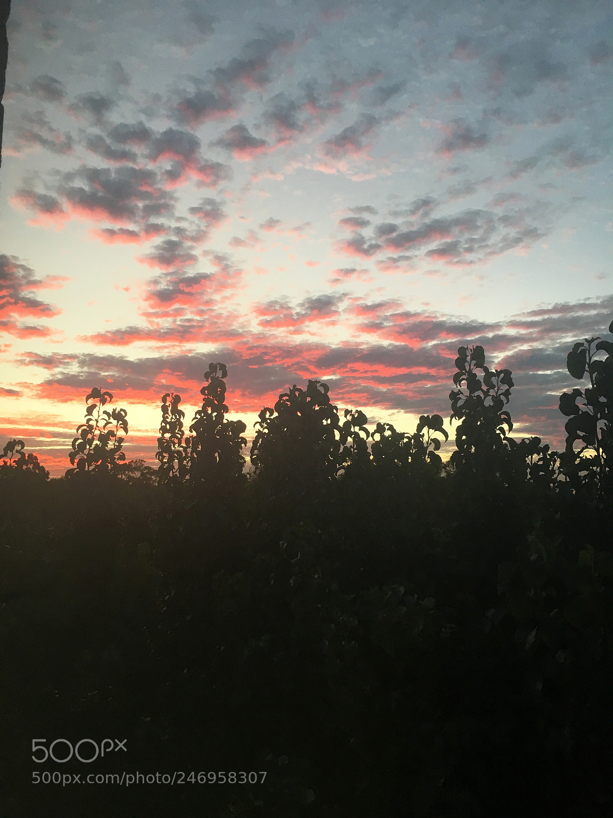 Apple iPhone 6s sample photo. Dusk by window photography