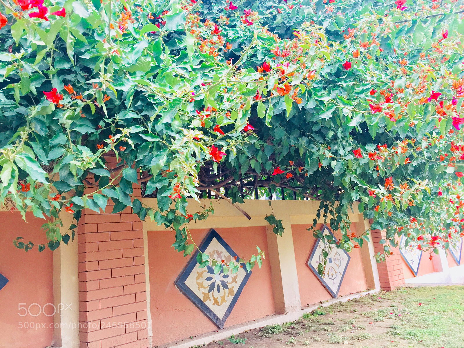 Apple iPhone 6 sample photo. Untitled photography